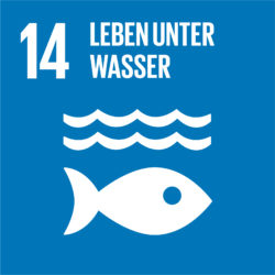 SDG-icon-DE-14