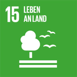 SDG-icon-DE-15