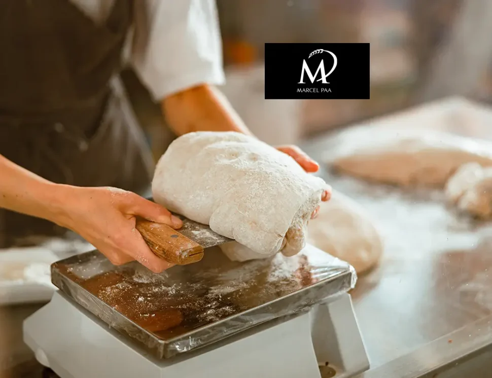 Marcel Paa – Mit smarter Kampagnenstruktur zu mehr Umsatz und Sichtbarkeit