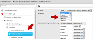 Screenshot: Sprachen verwalten in plentymarkets