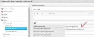 Screenshot: Eingabemaske für das Eintragen der Taxonomie bei Ihren Kategorien
